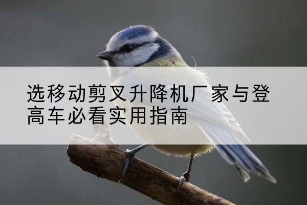 五峰电动升降机厂家-选移动剪叉升降机厂家与登高车必看实用指南