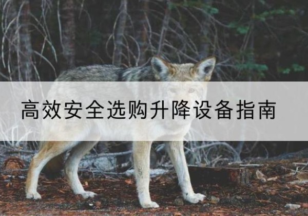 五峰升降货梯厂家推荐-*安全选购升降设备指南
